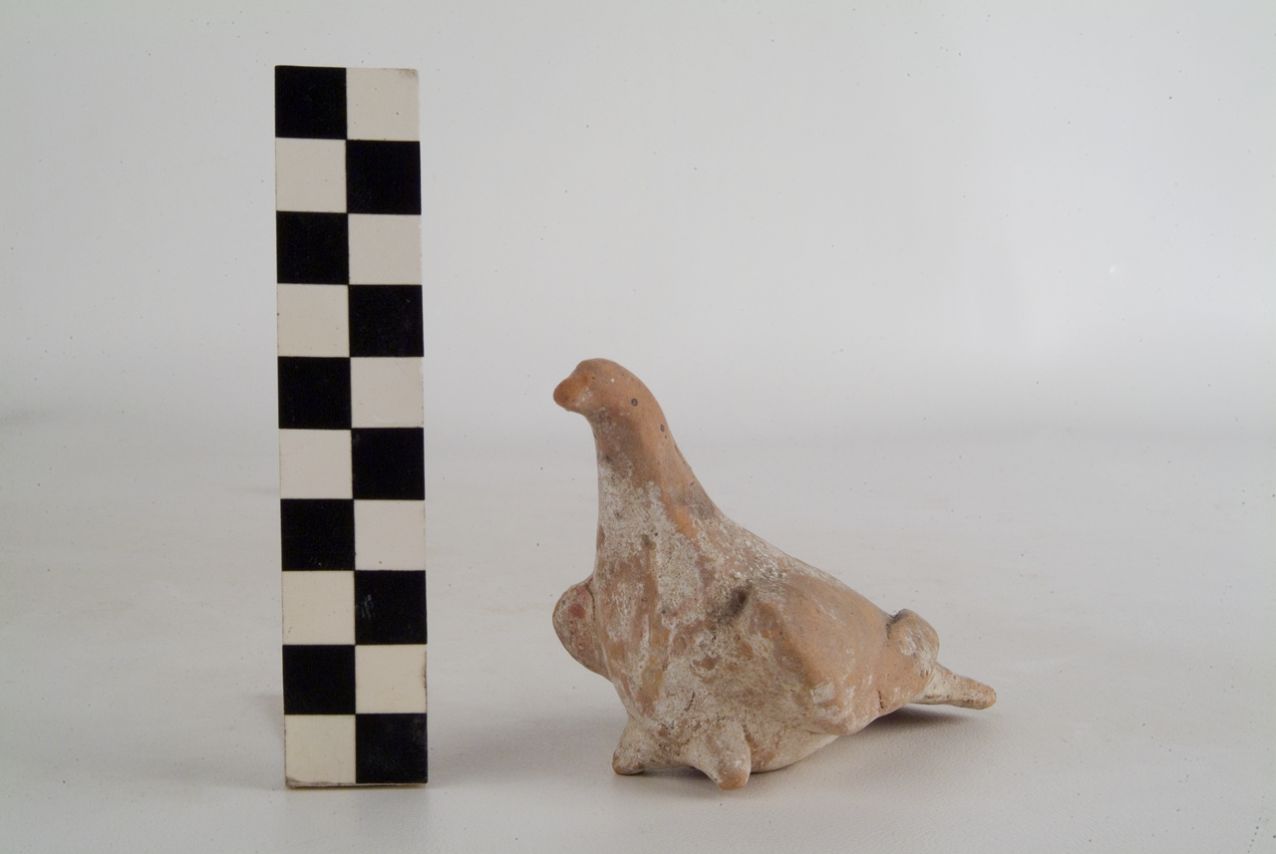 colomba (VOTIVO ZOOMORFO) - produzione apula (seconda metà sec. IV a.C)