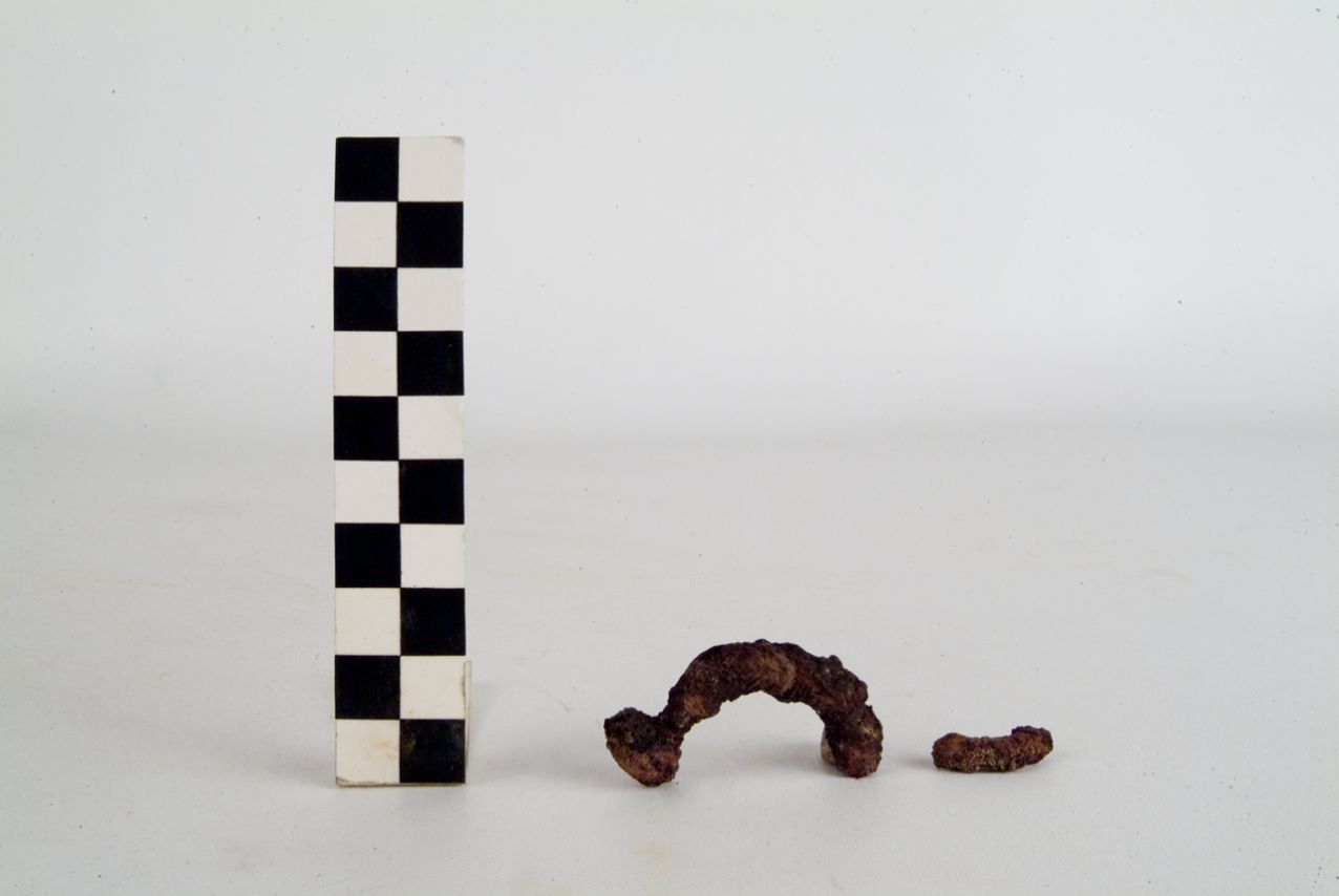 ARCO DI FIBULA - ambito apulo (?) (secc. IV/ III a.C)