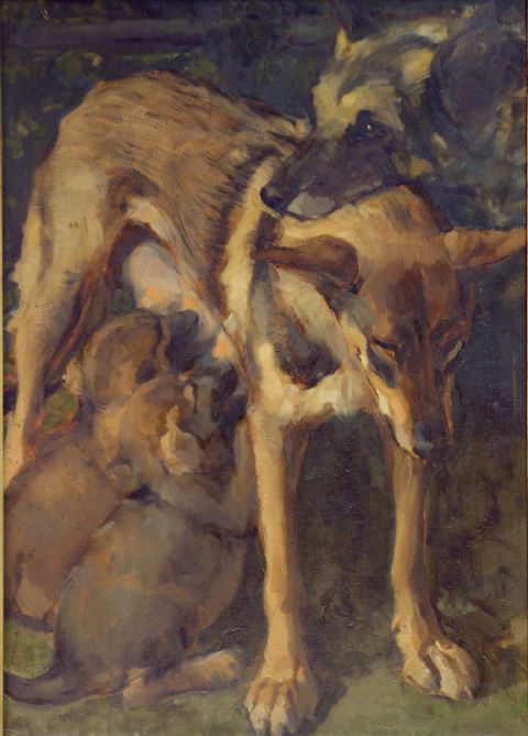 Cani, due pastori tedeschi (dipinto) - ambito italiano (seconda metà sec. XX)