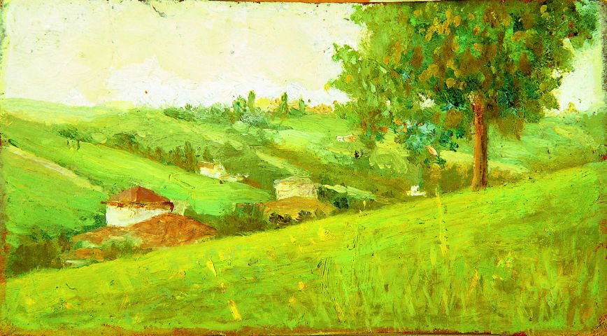 piccolo paesaggio a Salsomaggiore (dipinto) di Bianchi Damaso (sec. XX)