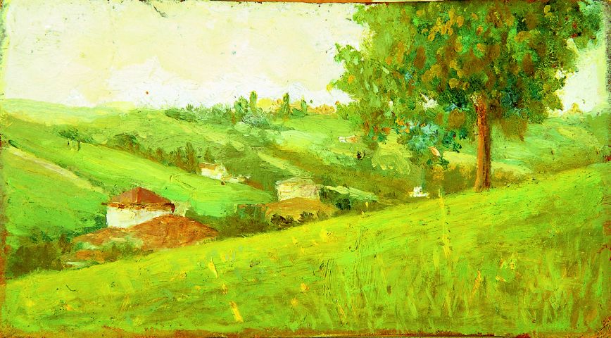 piccolo paesaggio a Salsomaggiore (dipinto) di Bianchi Damaso (sec. XX)
