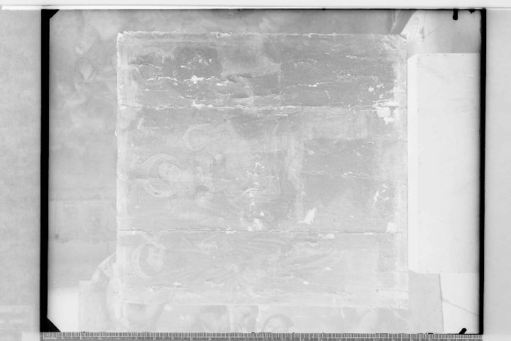 TROIA (FG) - Episcopio - Tavola (negativo) di Artista locale, Soprintendenza (XX)