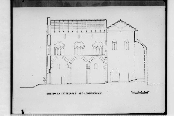 Bitetto (BA) - Ex Cattedrale (negativo) di Anonimo, Anonimo (XX)