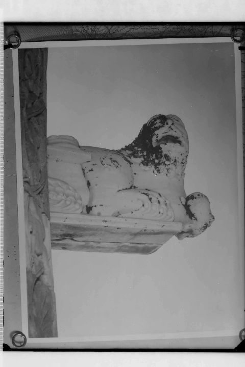 Trani (Ba), cattedrale: scultura su fianco meridionale (negativo) di Anonimo (XX)