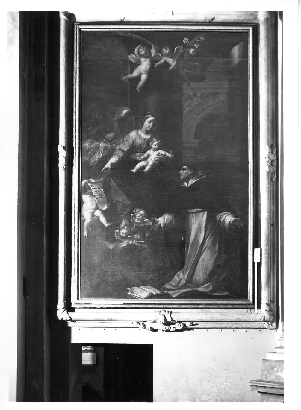 la comparsa della Madonna con Bambino a San Pietro Martire (dipinto) di Muratori Teresa (inizio sec. XVIII)