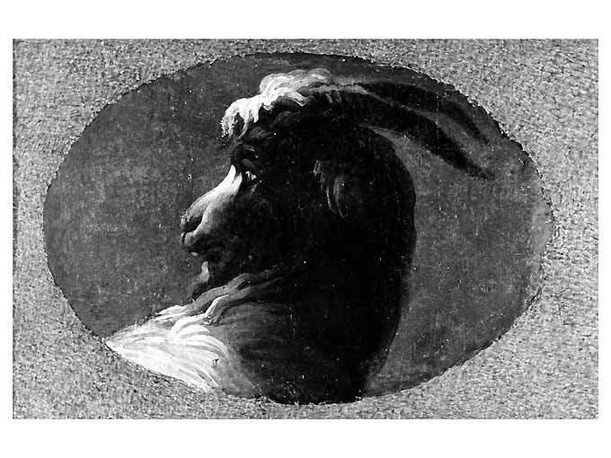 testa di capra (dipinto) di Roos Philipp Peter detto Rosa da Tivoli (attribuito) (fine sec. XVII)