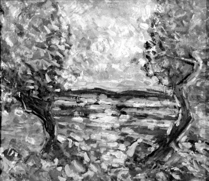 veduta di campagna pugliese con due ulivi (dipinto) di Ciardo Vincenzo (metà sec. XX)