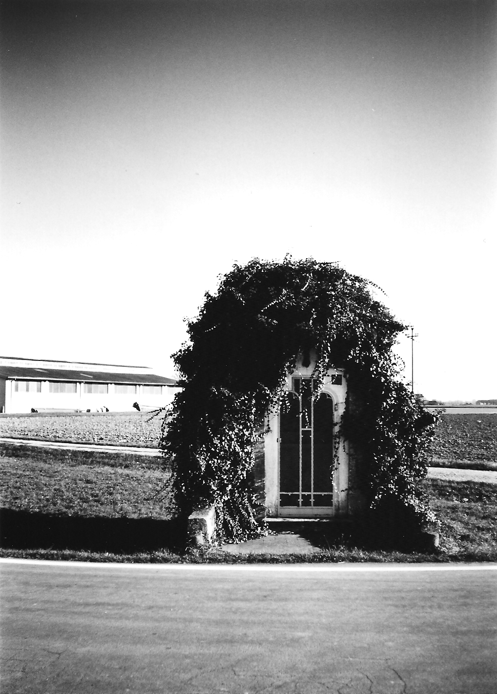 Cappella di via Chiarenzana (cappella, privata) - Zibello (PR) 