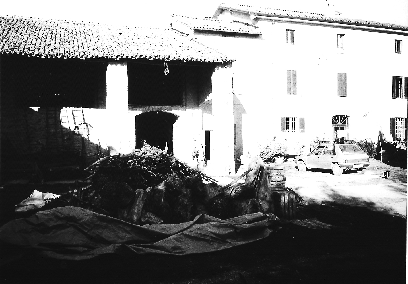 Podere Ghizzi (casa, rurale) - Zibello (PR) 