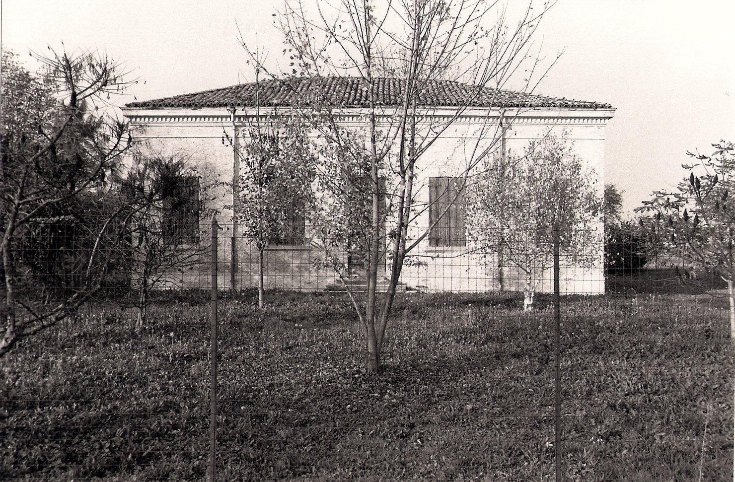 Scuola Elementare (scuola) - Colorno (PR) 