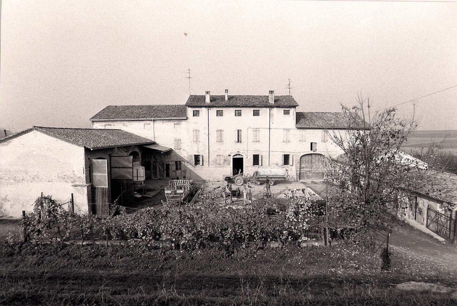 corte, rurale - Colorno (PR) 
