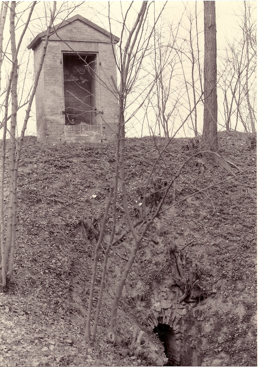 Pozzi di ispezione per le chiuse dell'Ongina (pozzo) - Busseto (PR) 