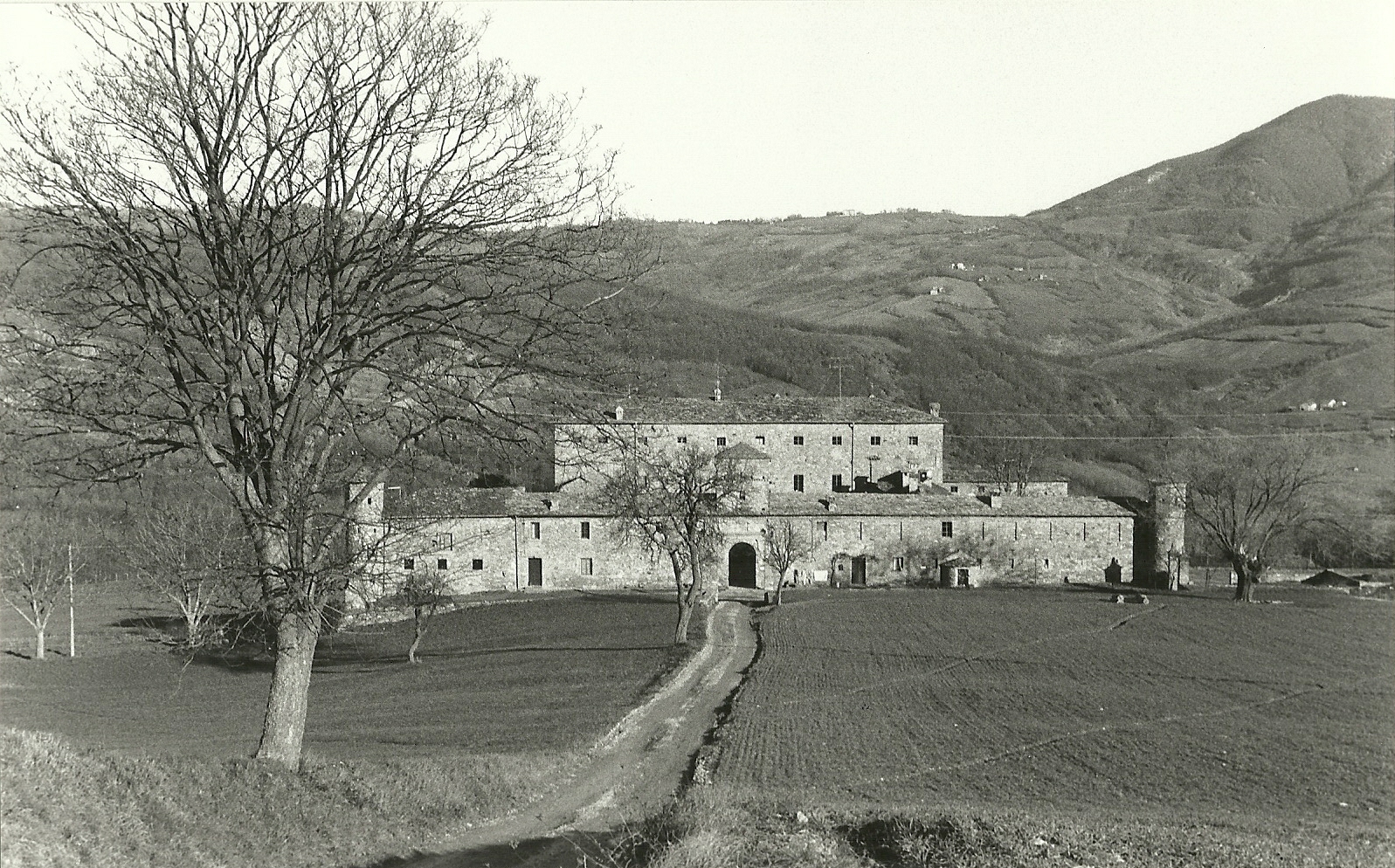 Castello di Golaso (castello) - Varsi (PR) 