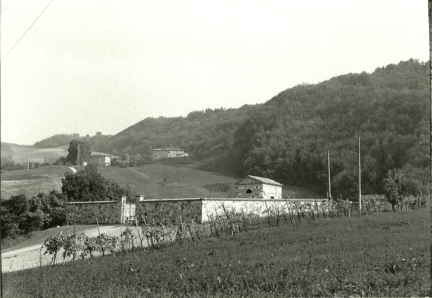 Cimitero Comunale di San Michele Cavana (cimitero, comunale) - Lesignano de' Bagni (PR) 