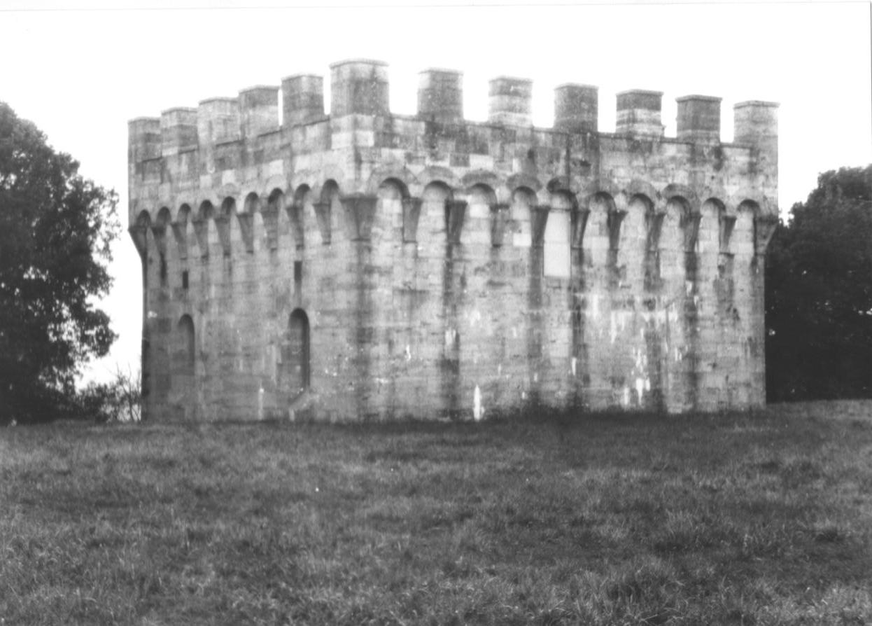 TORRE DELL'ACQUEDOTTO (torre, comunale) - Siena (SI) 