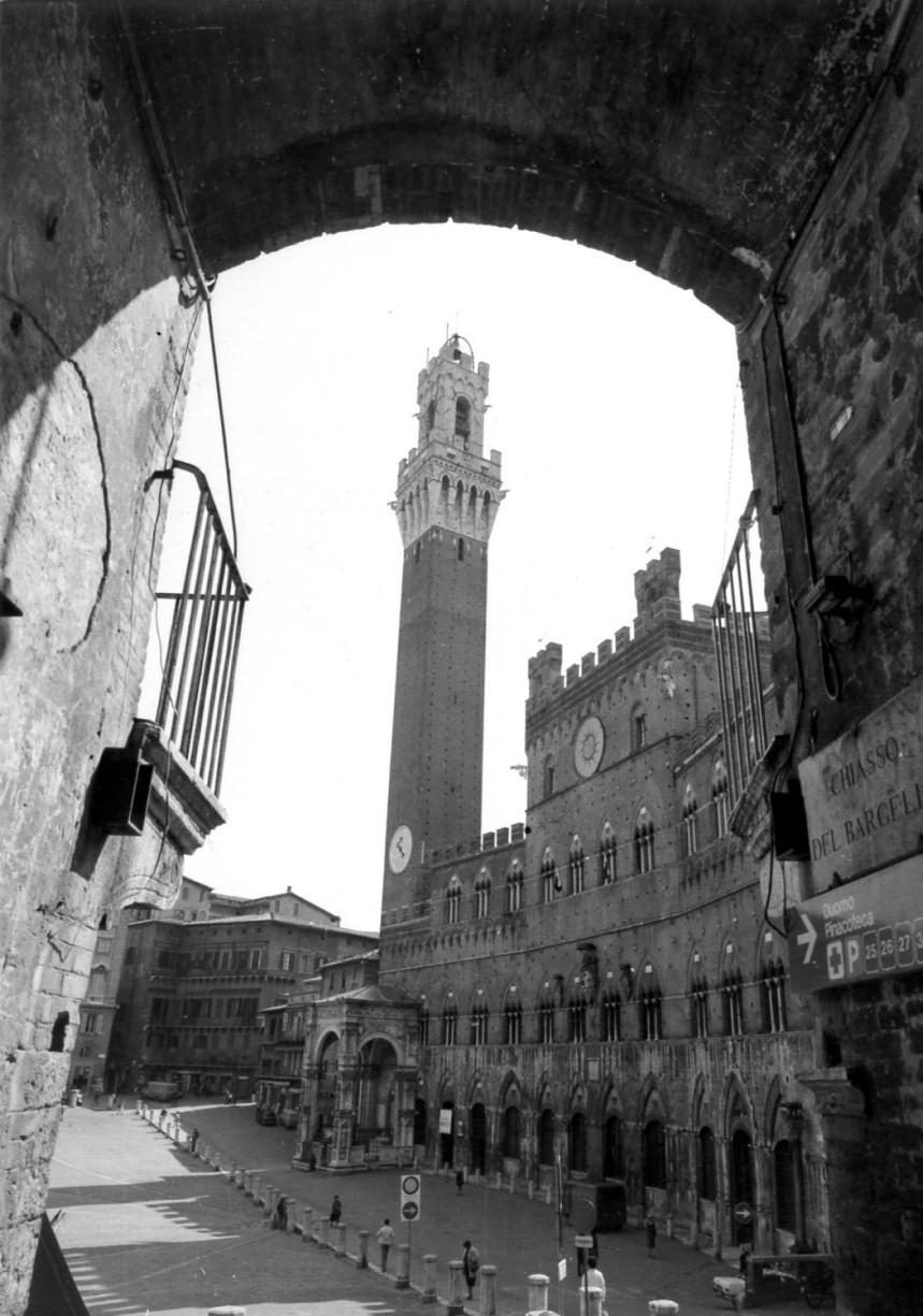 Palazzo Pubblico (palazzo, pubblico) - Siena (SI) 