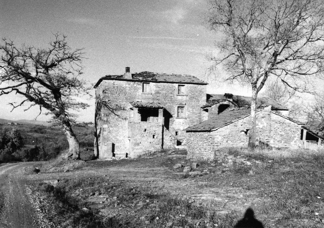 Casa colonica Le Trappole (casa, colonica) - Anghiari (AR) 