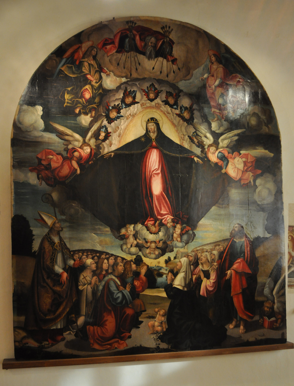 Madonna della Misericordia, Madonna della Misericordia e i Santi Donato e Marco e il beato Tommasuolo (dipinto) di Domenico di Pietro di Vanni de' Pecori detto Domenico Pecori, Fernando de Coca, Niccolò Soggi, Giovanni Antonio Lappoli (attribuito), Antonio di Ambrogio detto Scaramuccia (attribuito) - ambito dell'Italia centrale (primo quarto sec. XVI)