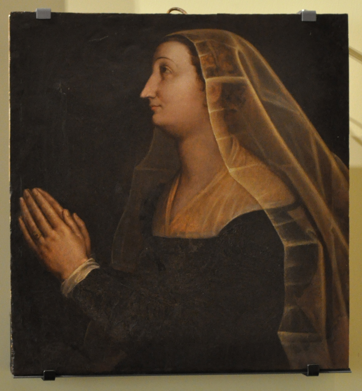 Ritratto di Caterina Albergotti (dipinto, elemento d'insieme) di Angelo Ricci, Zucchi Jacopo (attribuito) (secc. XVIII-XIX)