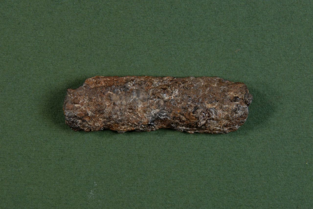 oggetto non identificato (secc. III-II a.C)