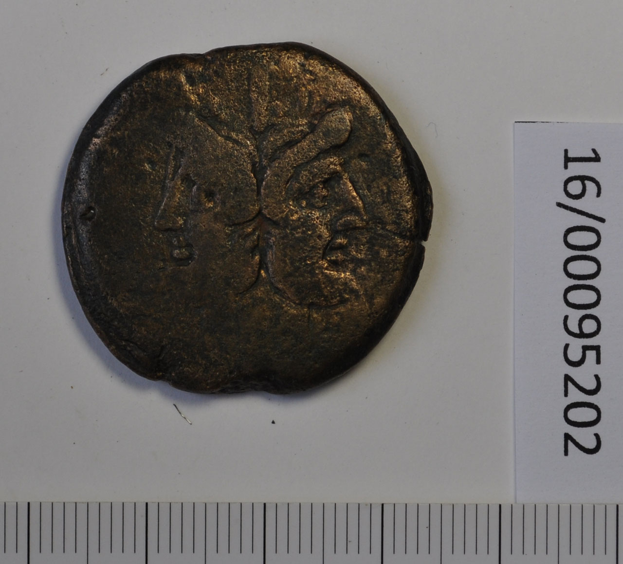 moneta - asse (Eta' romana repubblicana)
