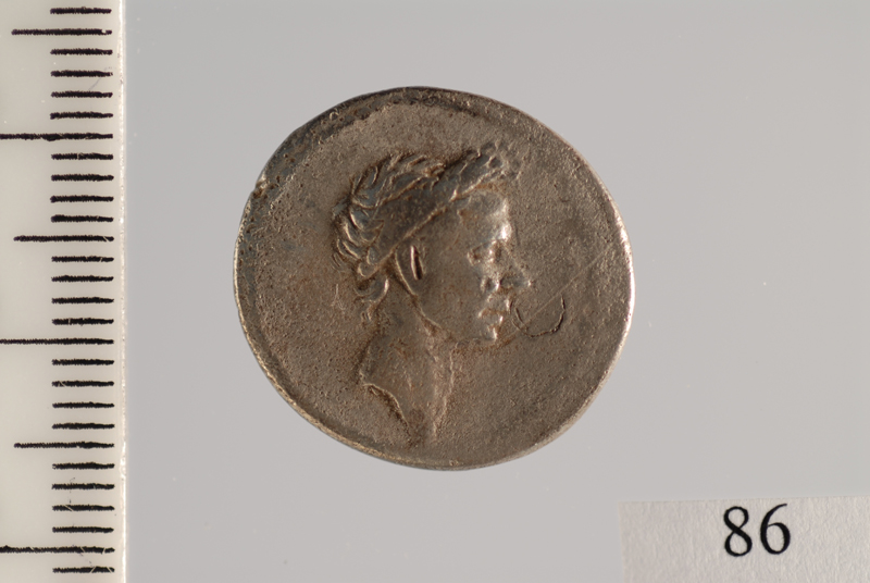 moneta - denario (Eta' romana repubblicana)
