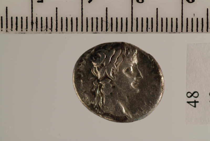 moneta - denario (Eta' di Augusto)