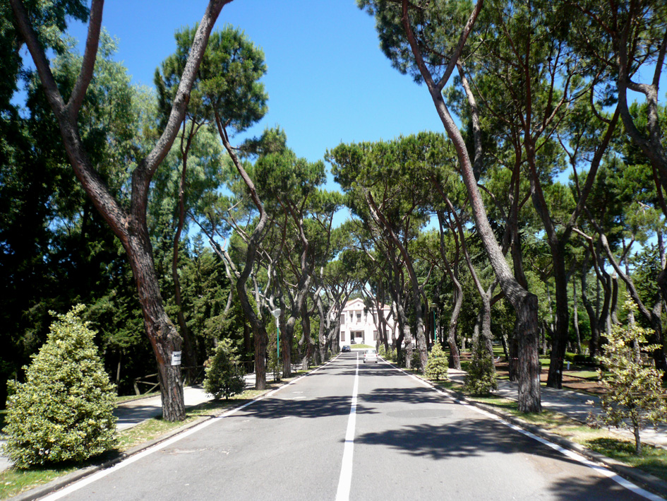 Complesso ospedaliero cesare zonchello e parco (ospedale)