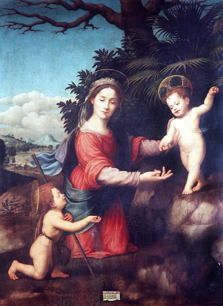 Madonna della palma, Madonna con Bambino e San Giovannino (dipinto) di Bugiardini Giuliano (sec. XVI)