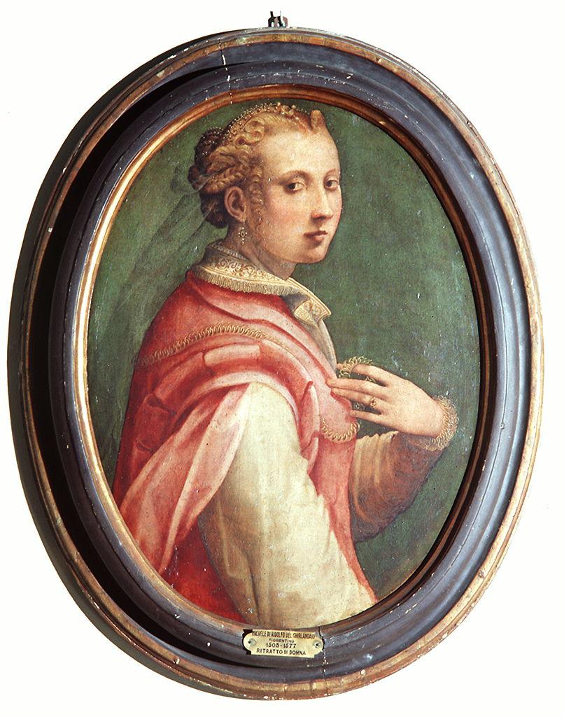 testa di donna (dipinto) di Tosini Michele detto Michele di Ridolfo del Ghirlandaio (sec. XVI)