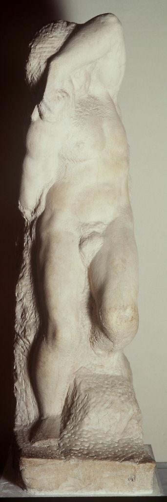 Prigione, schiavo giovane (statua) di Buonarroti Michelangelo (sec. XVI)