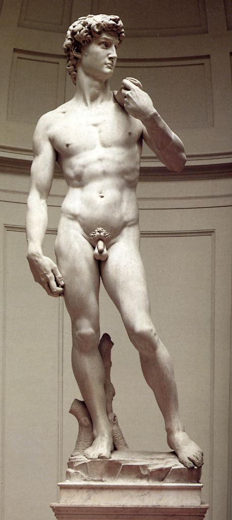 David (statua) di Buonarroti Michelangelo (sec. XVI)