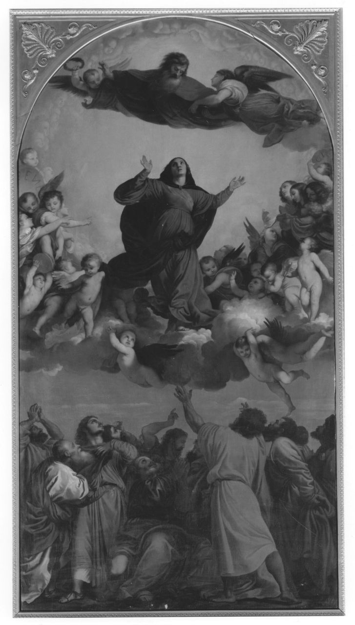 Assunta, assunzione della Madonna (dipinto) di Sabatelli Francesco (sec. XIX)