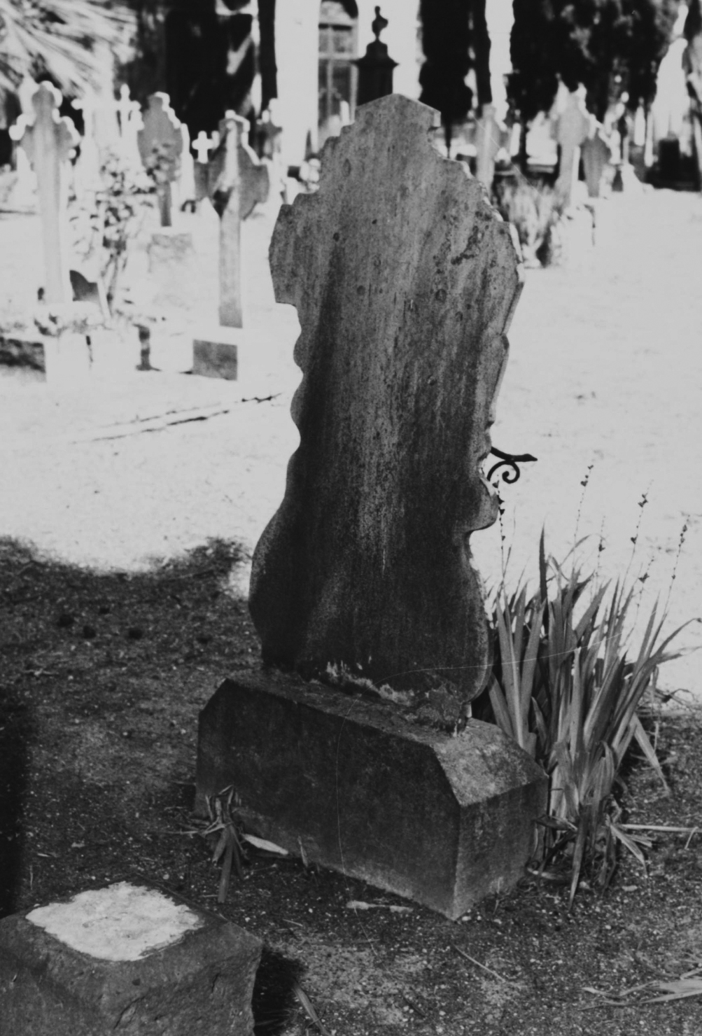 Monumento funebre - a lastra