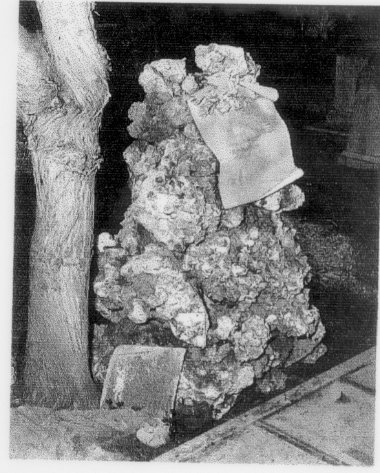 Anita giorgini (monumento funebre)