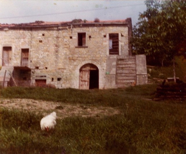 Masseria Maranconi (casale, rurale) - Agnone (IS) 