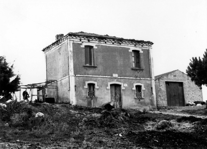 Azienda Agricola Mirco (azienda agricola) - Acquaviva Collecroce (CB) 