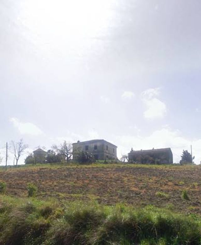 Azienda Agricola Caroselli (azienda agricola, monofamiliare) - Montenero di Bisaccia (CB) 