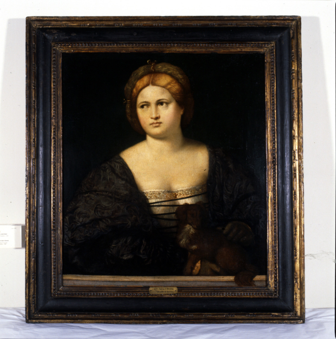 ritratto di donna con cagnolino (dipinto, opera isolata) di Licinio Bernardino (bottega) (primo quarto sec. XVI)