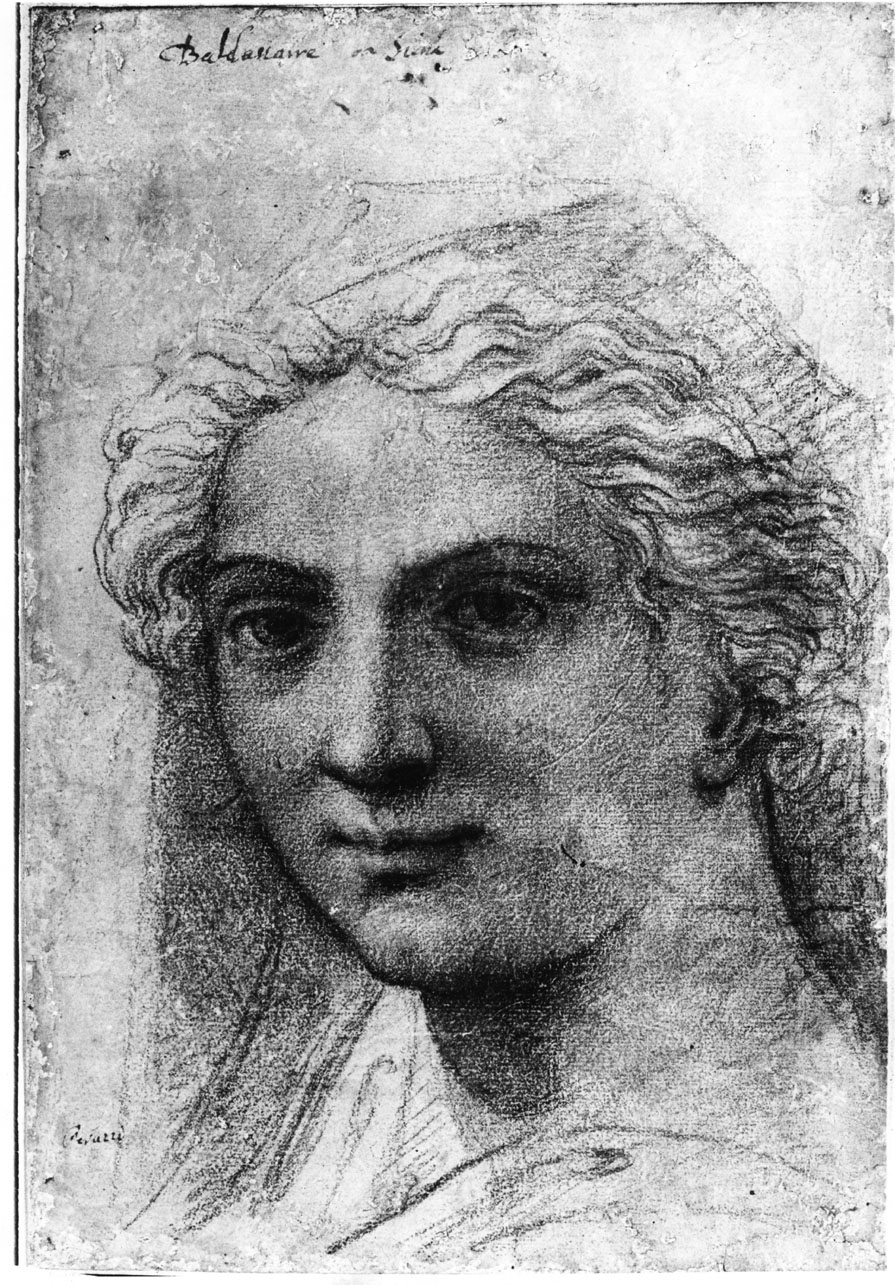 testa di donna velata (disegno, opera isolata) di Peruzzi Baldassarre (primo quarto sec. XVI)