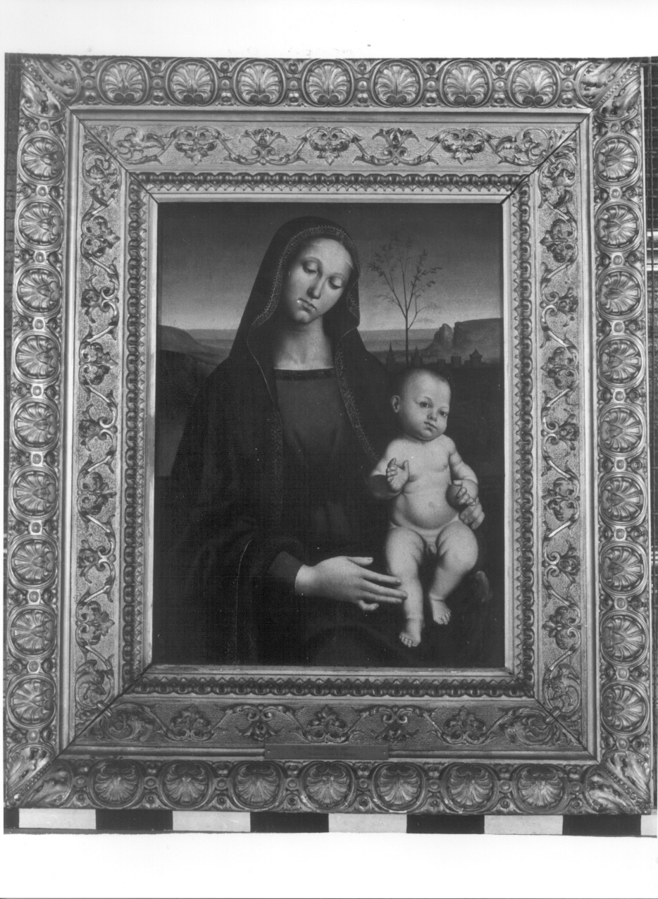 Madonna con Bambino (dipinto, opera isolata) di Viti Timoteo (primo quarto sec. XVI)