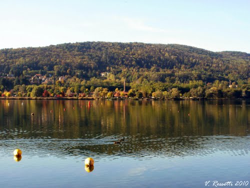 Le Pioppette, Lago di Comabbio (insediamento, insediamento palafitticolo) - Vergiate (VA)  (Eta' del bronzo)