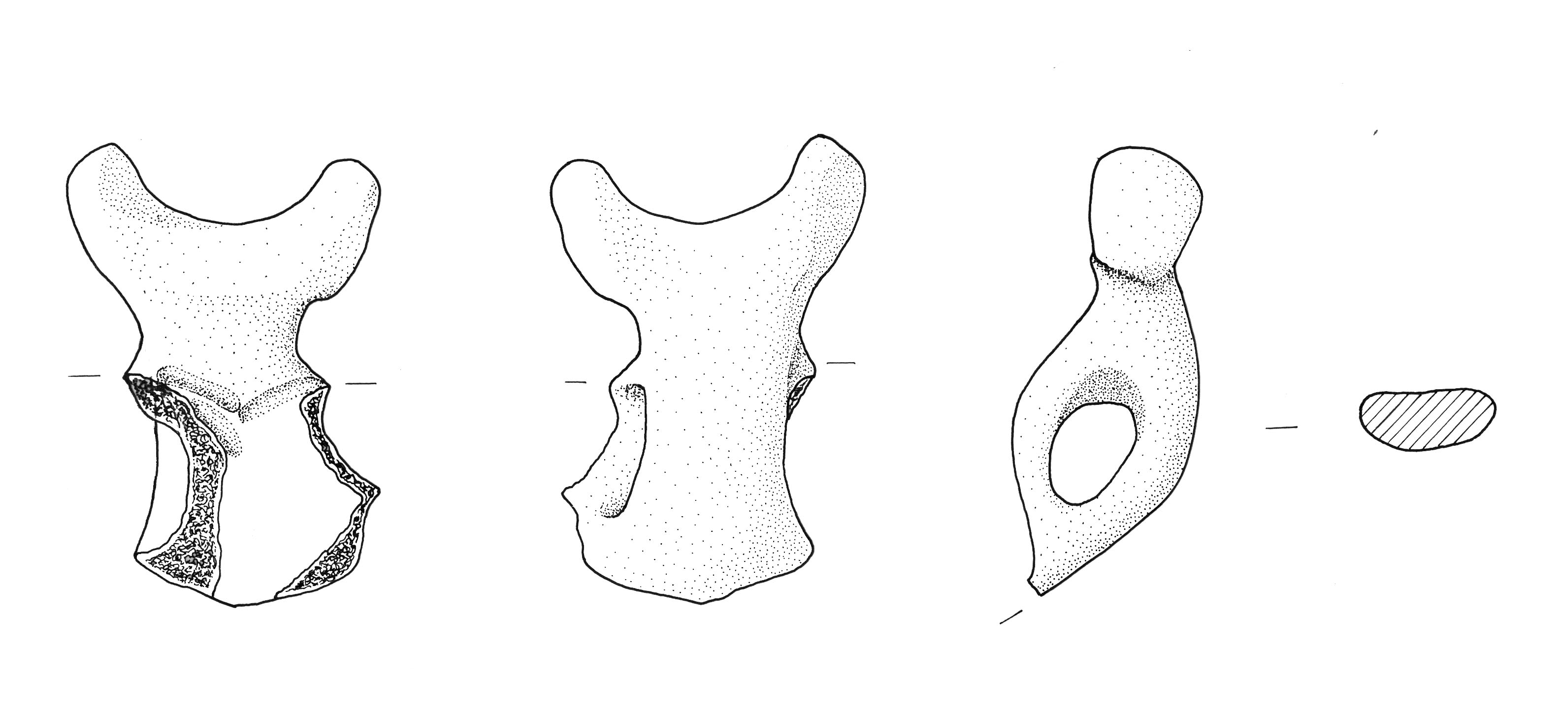 ansa lunata (Eta' media del bronzo)