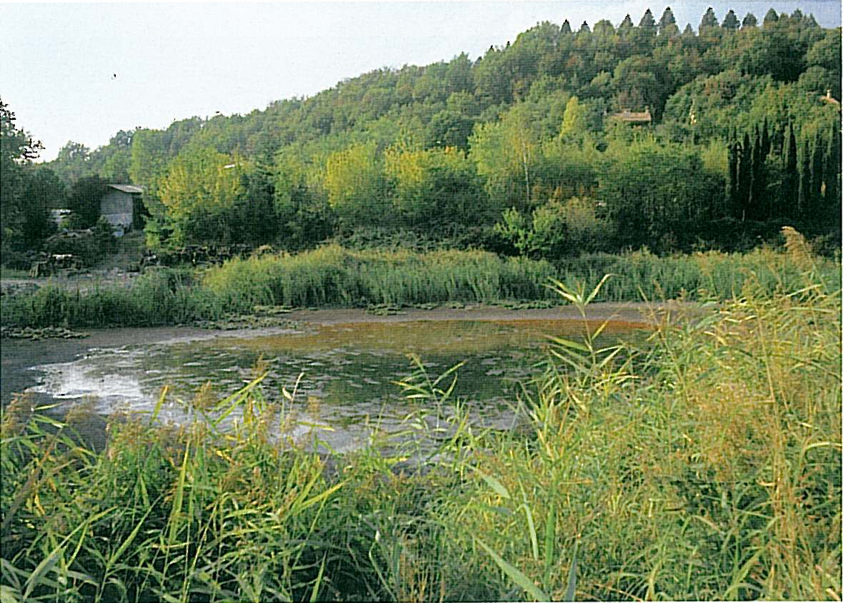 Torbiere di Soiano (insediamento, insediamento palafitticolo) - Soiano del Lago (BS)  (inizio/ metà Eta' del bronzo)