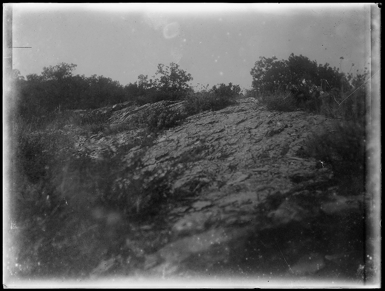 L0335 (negativo) di studio di vetrate artistiche Moretti-Caselli (fine/ inizio XX/ XXI)