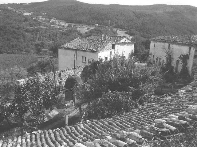 Casale Ruggiero (casale, rurale) - Castelmauro (CB) 