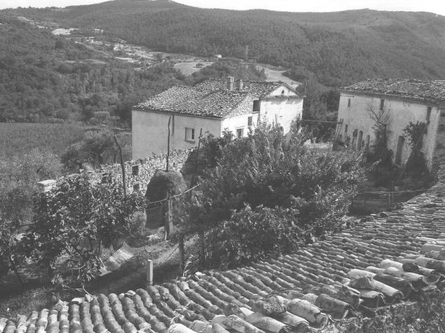 Casale Ruggiero (casale, rurale) - Castelmauro (CB) 