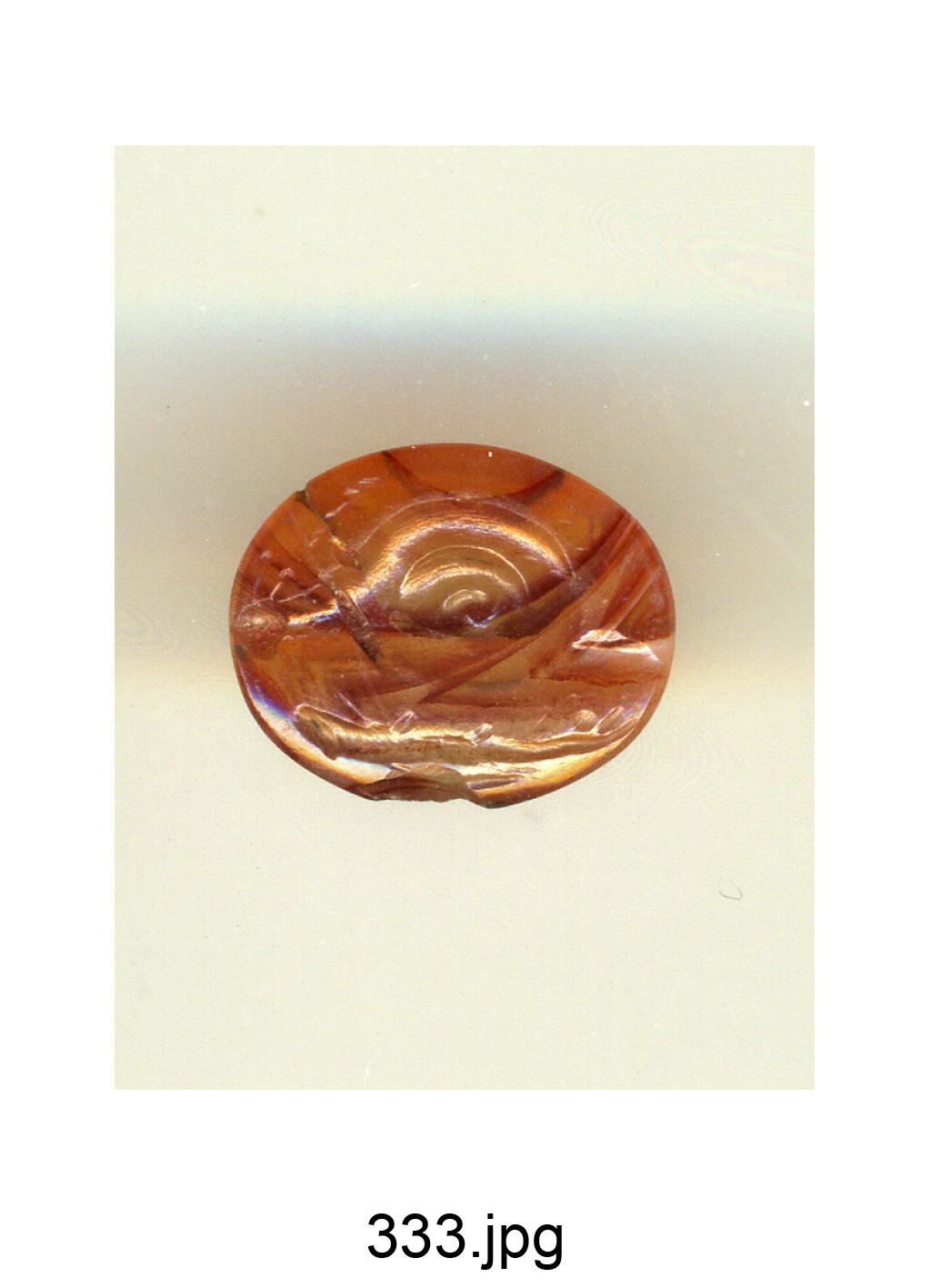 lumaca e lucertola (gemma) - produzione italiana (secc. XVI/ XVIII)