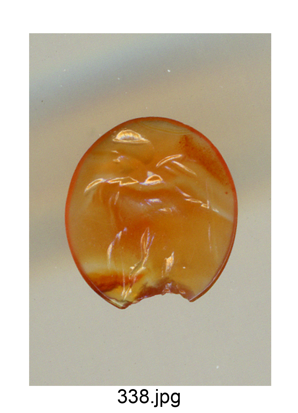 Cupido (gemma) - produzione italiana (secc. XVI/ XVII)