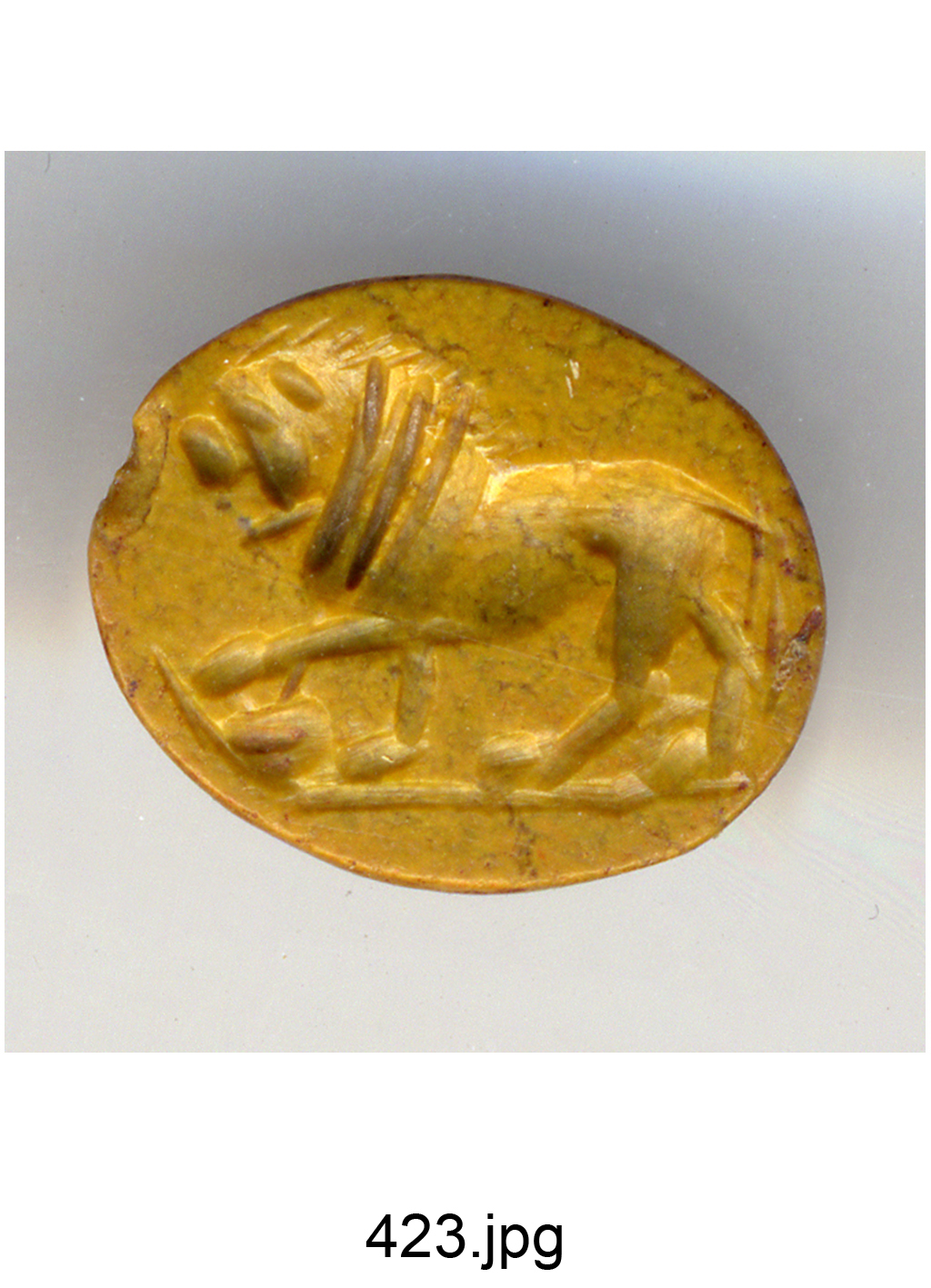 leone con zampa appoggiata su una testa di animale (?) (gemma) - produzione romana (sec. II)